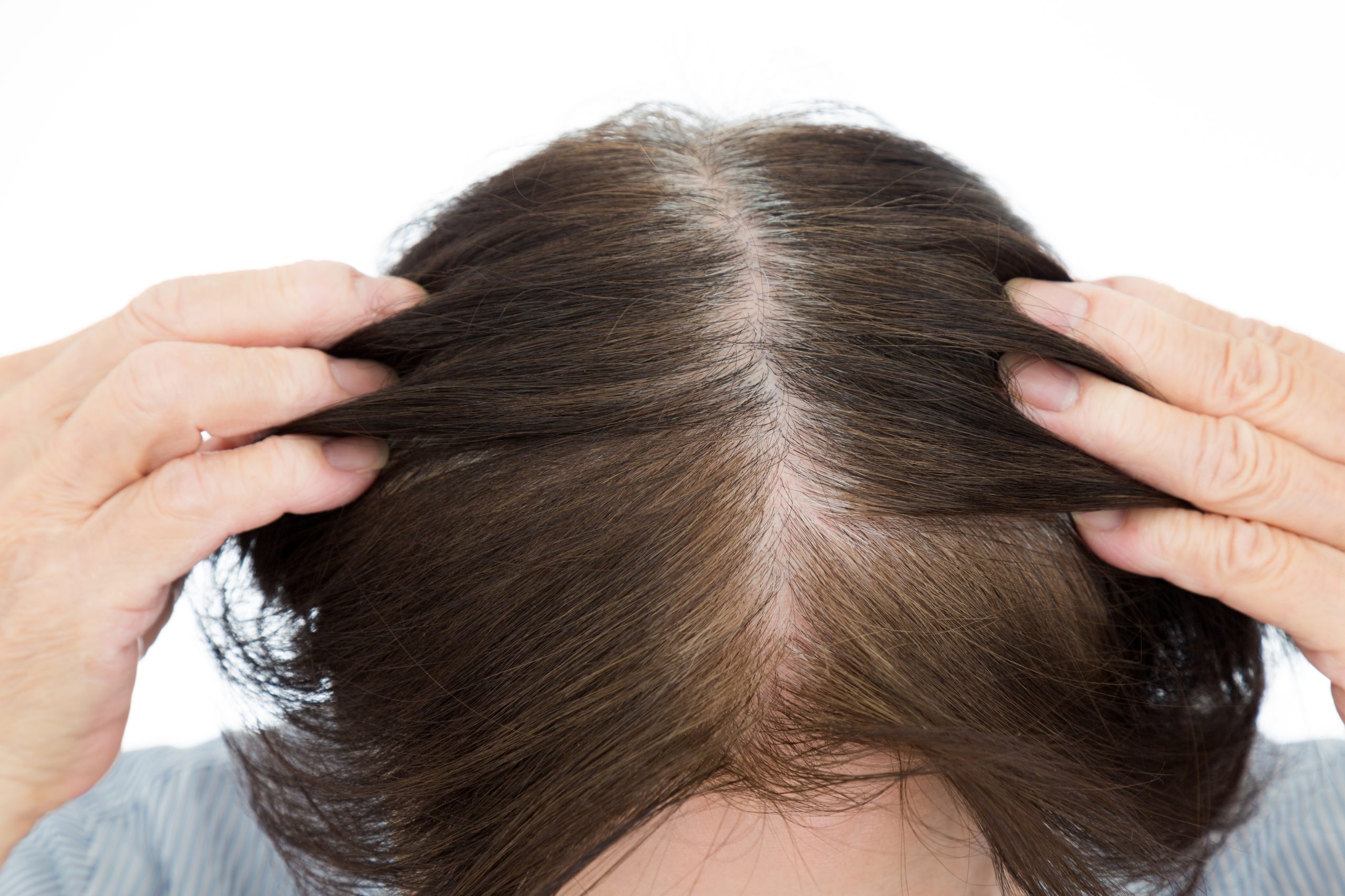 article-3636-thumbnail